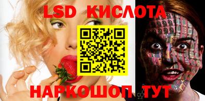 индика Можга