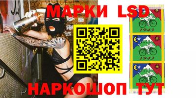 индика Можга