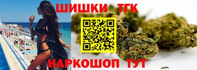 индика Можга