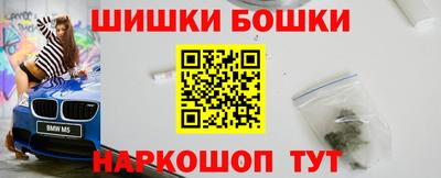 индика Можга