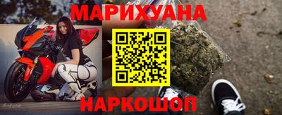 индика Можга
