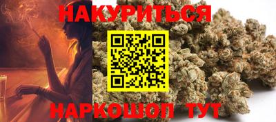 индика Можга