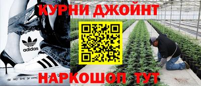 индика Можга