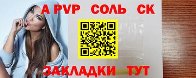 индика Можга