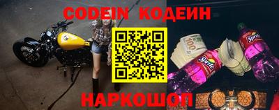 индика Можга