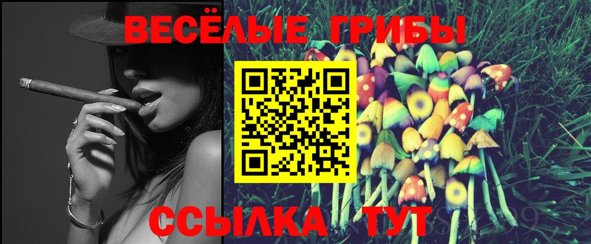 Галлюциногенные грибы Magic Shrooms Тара