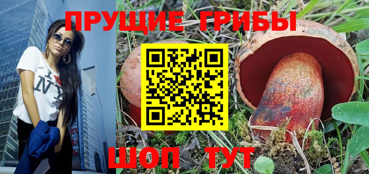 Тара  Галлюциногенные грибы GOLDEN TEACHER  Вход с VPN 